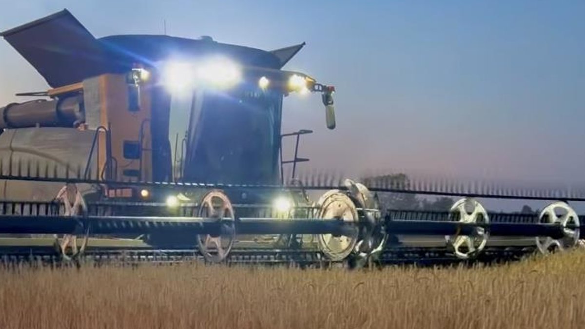 Pasta maker warns of heat-hit grain harvest - grain harvest