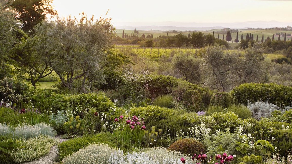 Drought-Tolerant Plants for a Hot Summer - drought-tolerant plants