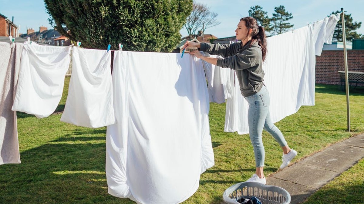 Experts advise simple steps to eliminate dust mites - dust mites