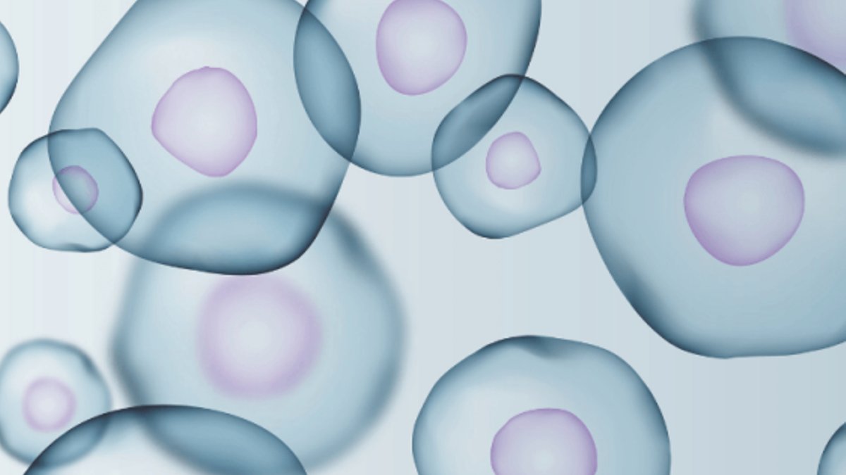 Stem Cells Aid in Healing Process - stem cells