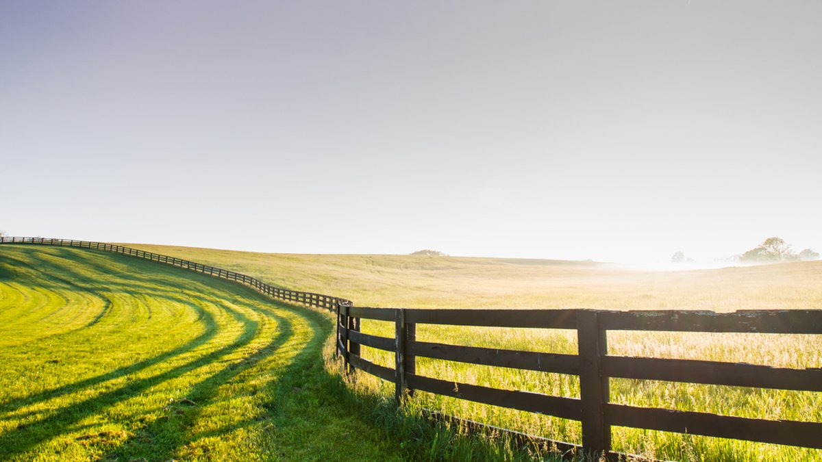 Farmers Weigh Business Structure Changes