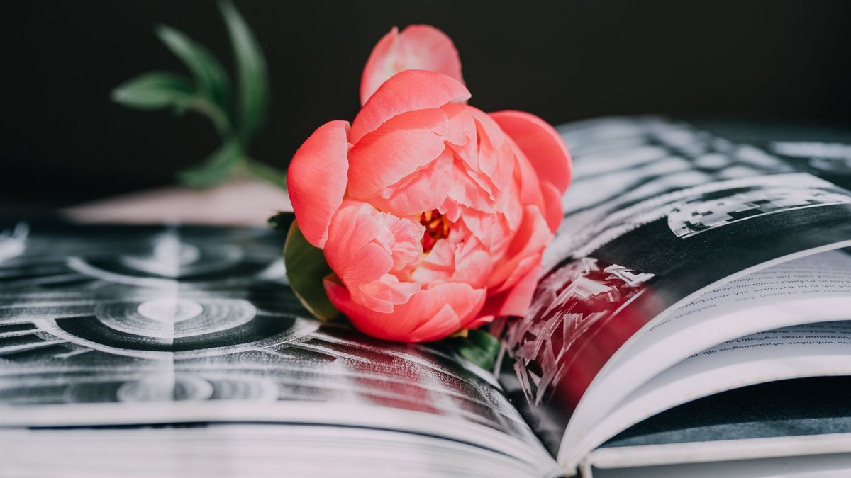 Georgianna Lane releases 14th floral photography book Georgianna Lane releases 14th floral photography book - floral photography