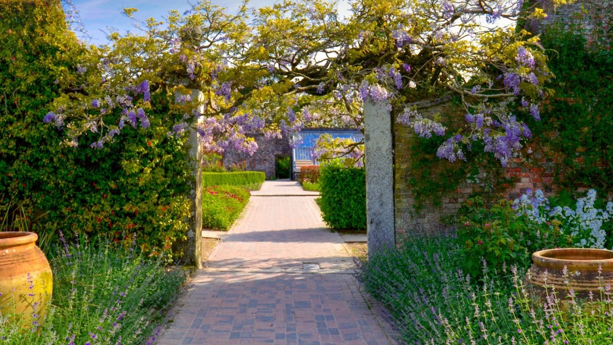 Drought proof your garden this summer Drought proof your garden this summer - drought proof