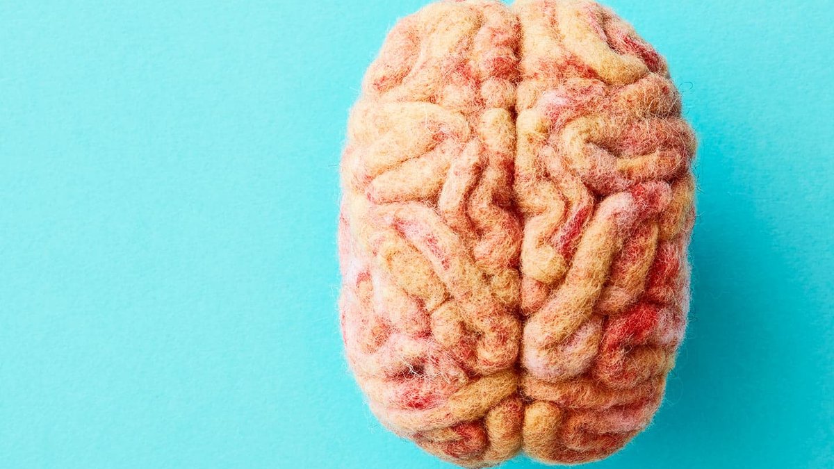 Brain activity when we act unconsciously studied Brain activity when we act unconsciously studied - brain activity