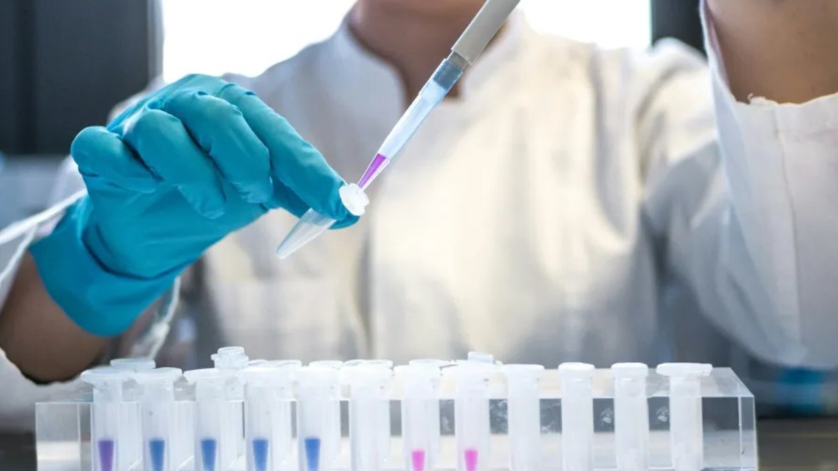 Adult Epilepsy Market Projected to Hit $17.8 Billion Adult Epilepsy Market Projected to Hit $17.8 Billion - adult epilepsy market