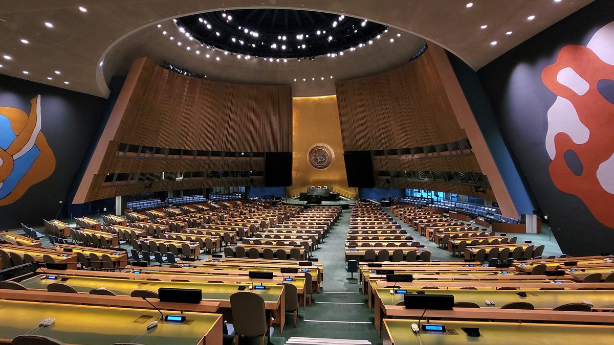 Resolution 2803 Reveals Hidden UN Veto Power - un resolution 2803