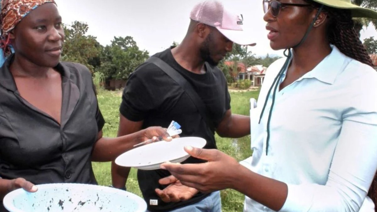 Drug-Resistant Malaria Mutation Spreads Across Lake Victoria Basin Drug-Resistant Malaria Mutation Spreads Across Lake Victoria Basin - drug-resistant malaria