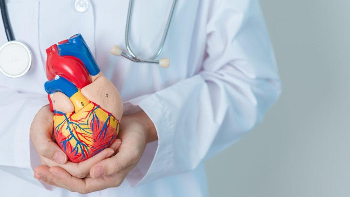 Vaccines May Cut Heart Disease Risk Vaccines May Cut Heart Disease Risk - vaccines heart disease