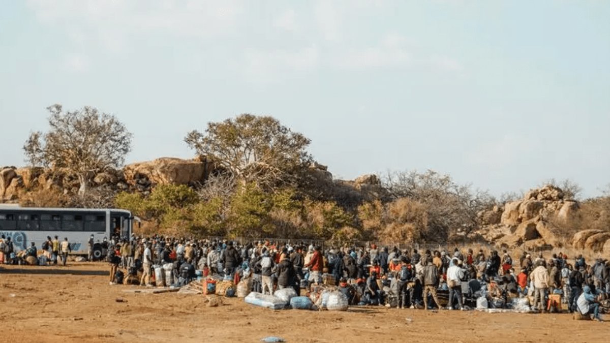 Zimbabweans struggle to access HIV drugs after fleeing SA - hiv drugs