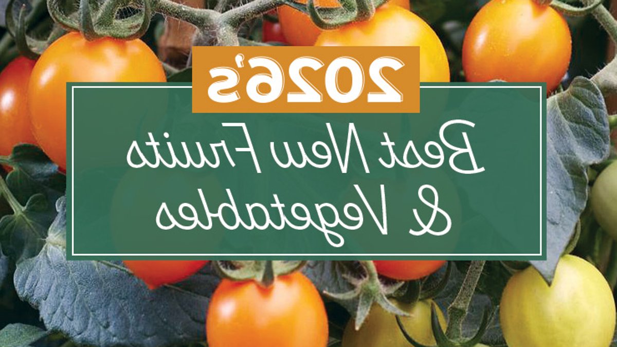 New Guide Helps Identify Edible Wild Plants - edible wild plants