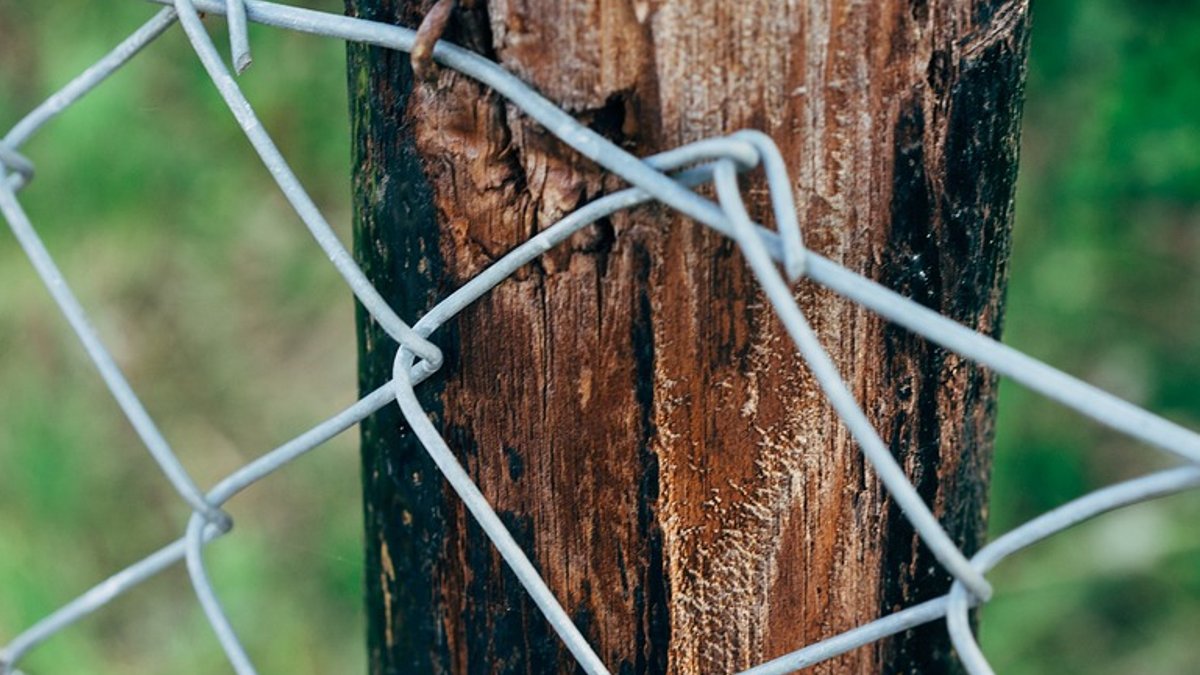 User Blocked After Policy Violation - multiple myeloma risk