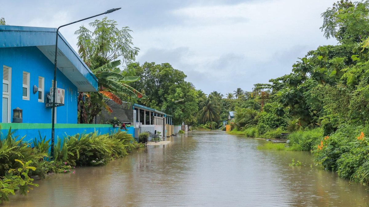 El Niño set to fuel global weather chaos