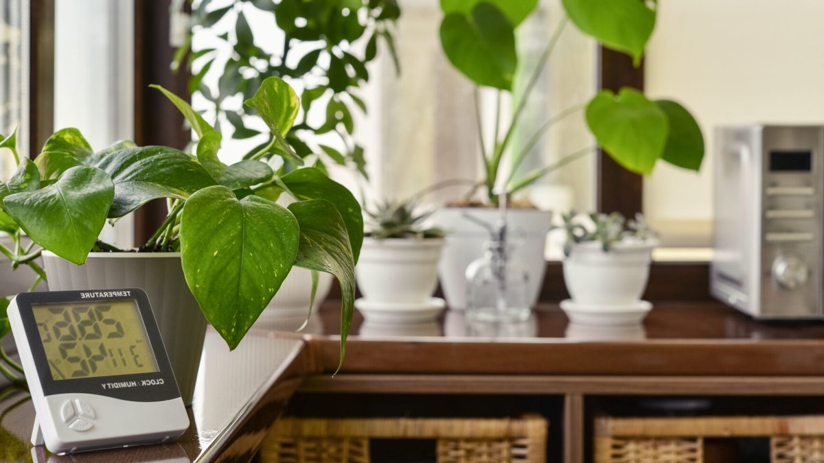 How to balance humidity at home by season - home humidity