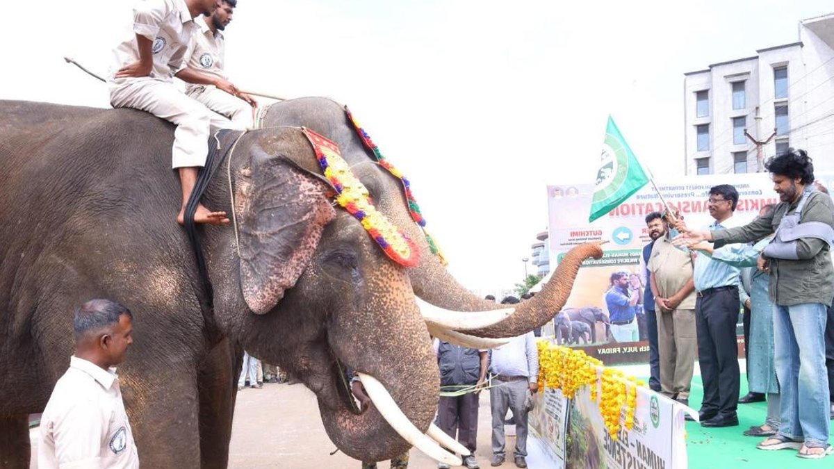Two trained kumki elephants deployed in Parvathipuram - kumki elephants