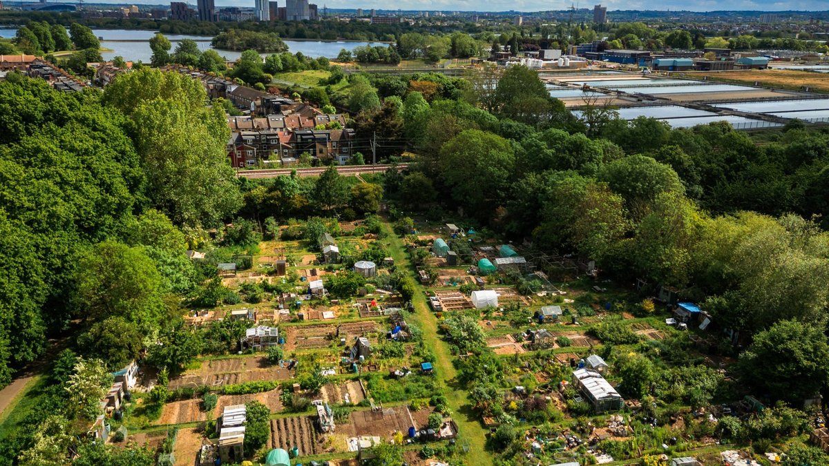 Allotment wait times set to shorten - allotment wait