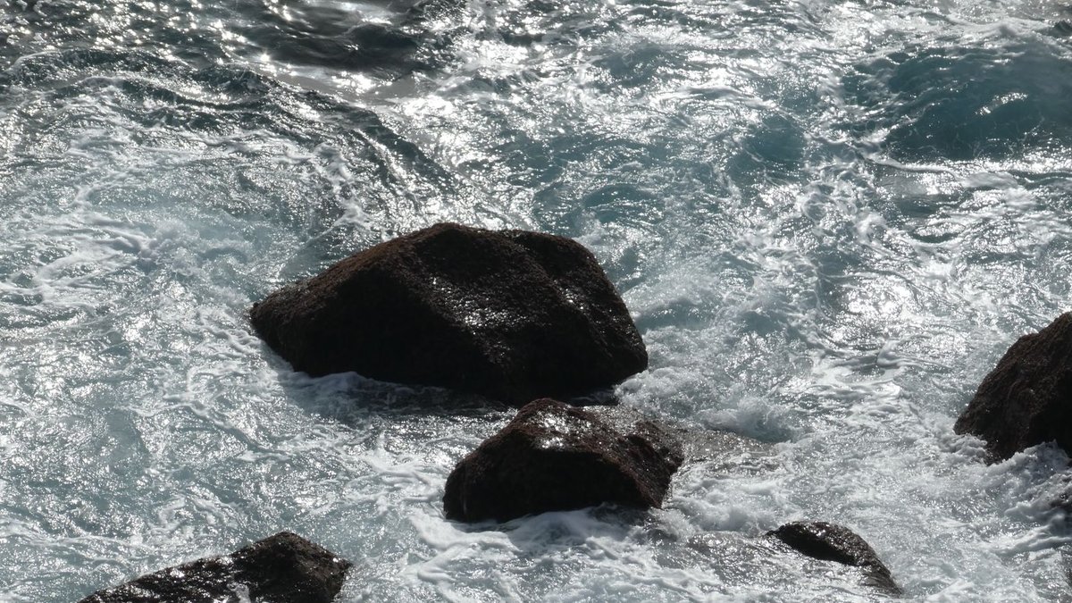 Cape Ann designer finds inspiration in rugged coast - coastal design