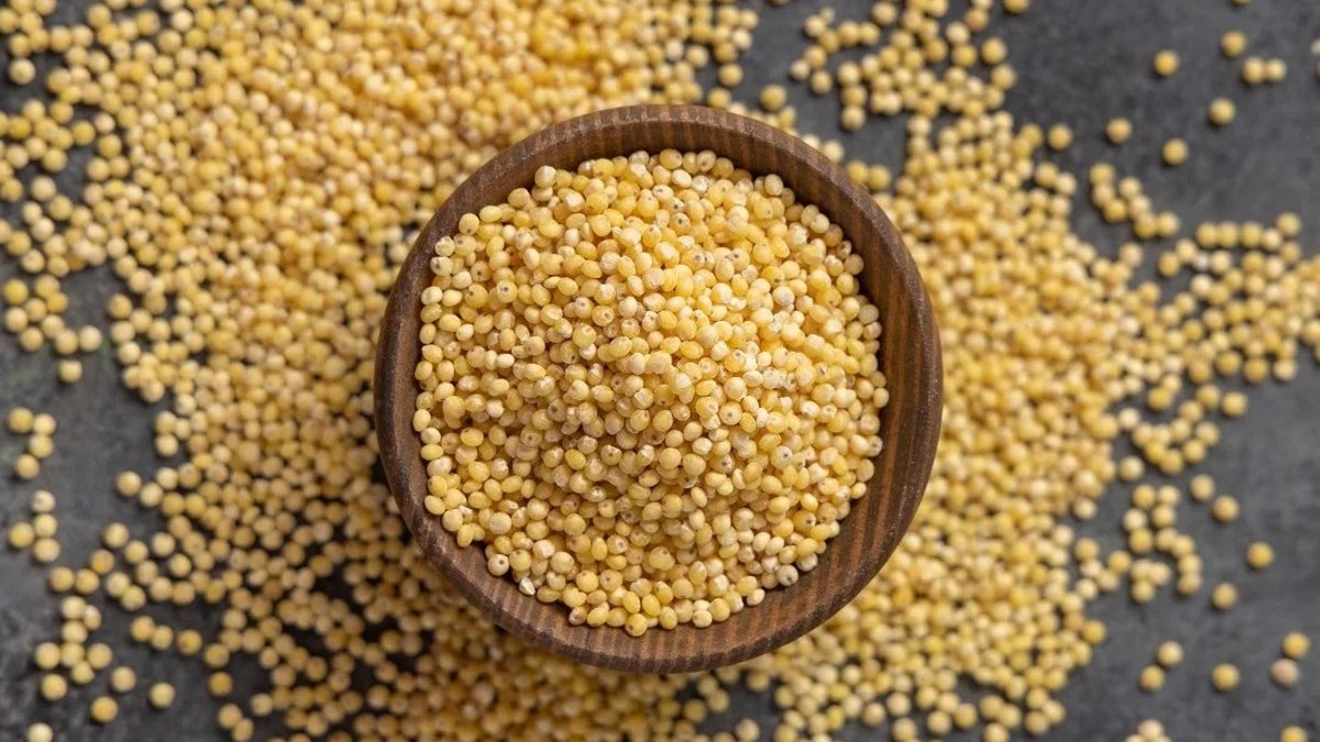 Iron-rich millet boosts toddler health safely Iron-rich millet boosts toddler health safely - toddler nutrition
