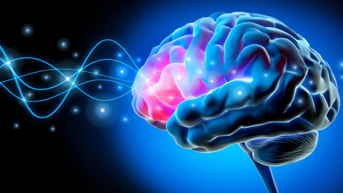 New Brain Rhythm May Improve Parkinson’s Treatment New Brain Rhythm May Improve Parkinson’s Treatment - brain rhythm