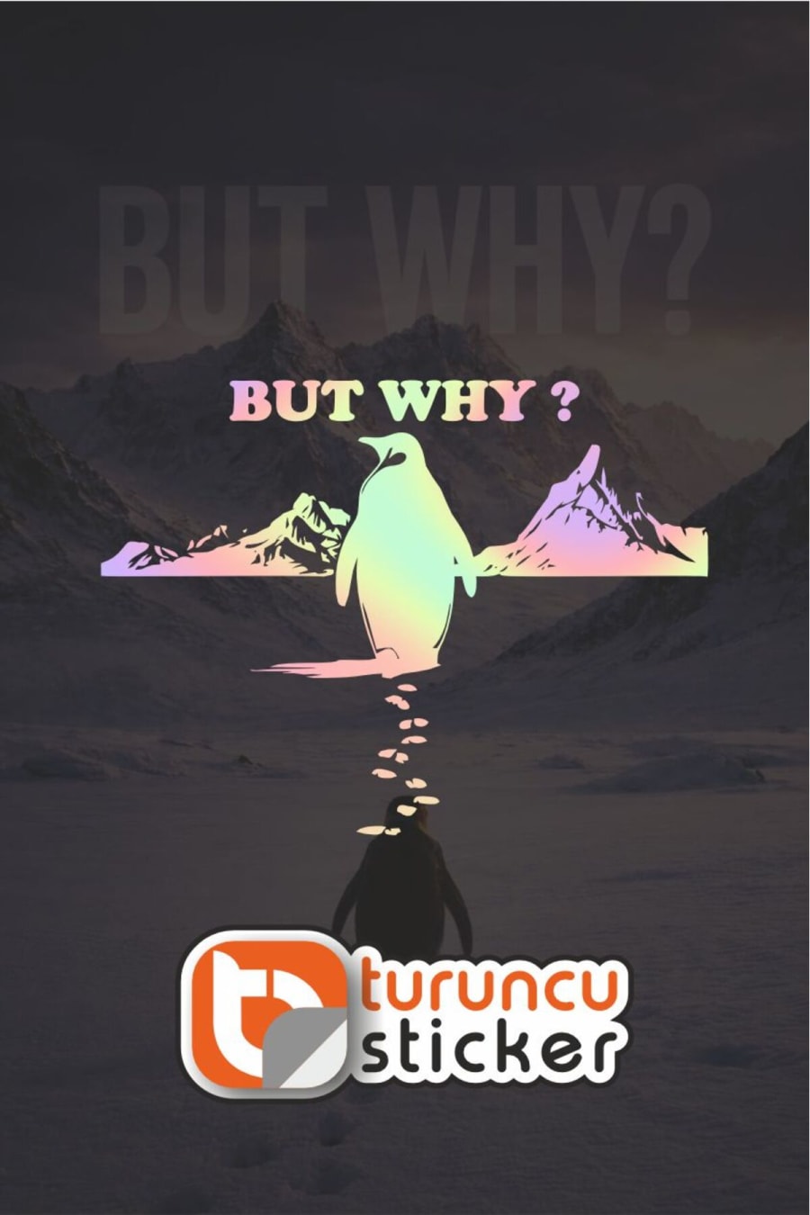 Nihilist Penguen BUT WHY ? Sticker Etiket 20x15 cm – Araç – Motor – Laptop - Kask Etiket Sticker