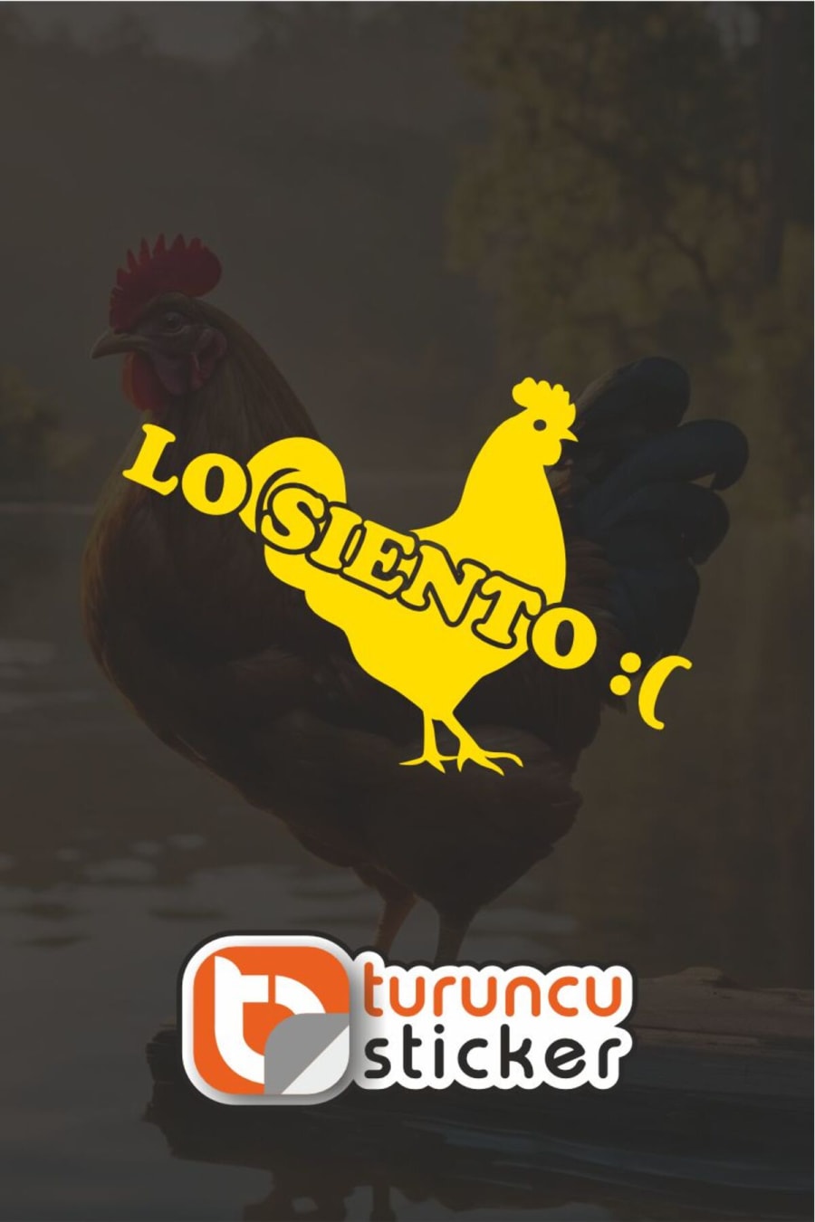 LO SIENTO :( WİLSOON... Sticker Etiket 20x14 cm – Araç – Motor – Laptop - Kask Etiket Sticker
