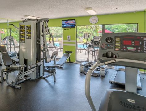 Fitness Center at The Links Apartment Homes at Carrollwood luxury apartment homes in Tampa, FL