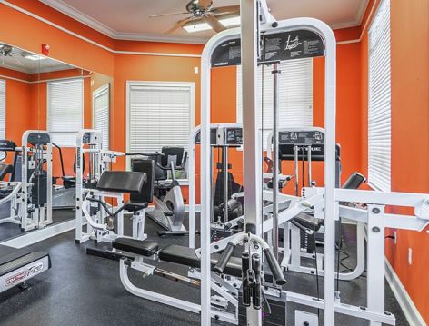 Gym at Village Oaks luxury apartment homes in Tampa, FL