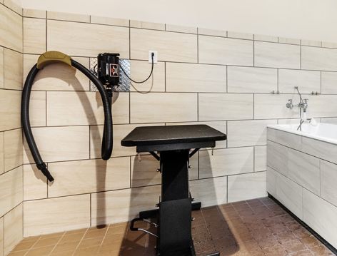 Pet Park at Avala at Savannah Quarters luxury apartment homes in Savannah, GA