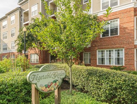 Exterior garden at Post Fallsgrove luxury apartment homes in Rockville, MD near Washington, DC
