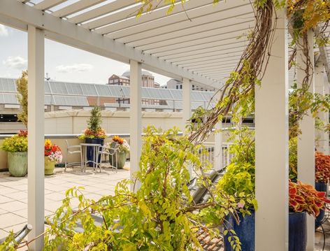Rooftop garden at Post Pentagon Row luxury apartment homes in Arlington, VA Near Washington DC