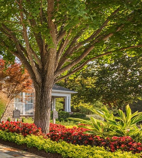 Exterior at Monthaven Park luxury apartment homes in Hendersonville, TN