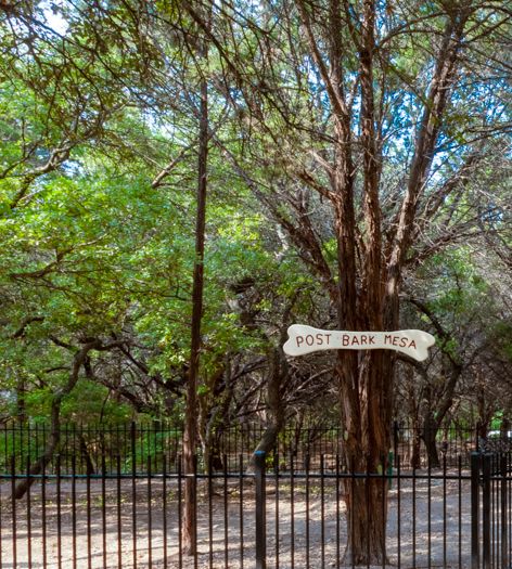 Dog Park at Post Park Mesa luxury apartment homes in Austin, TX