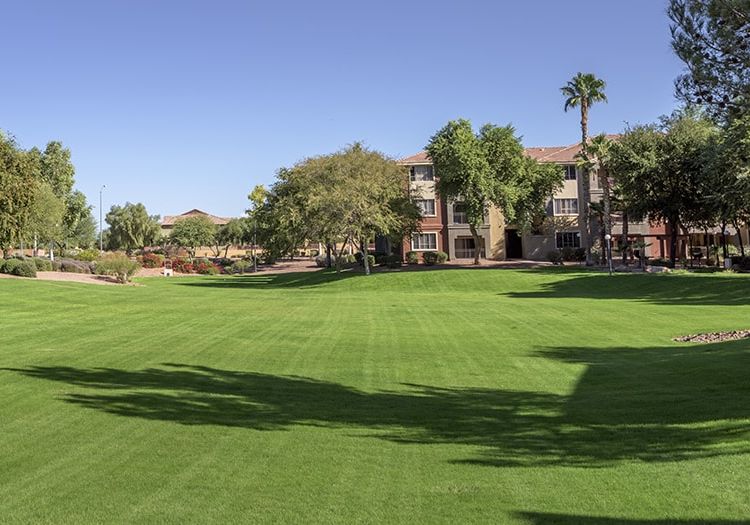 Exterior Park at Colonial Grand at Inverness Commons luxury apartment homes in Phoenix, AZ