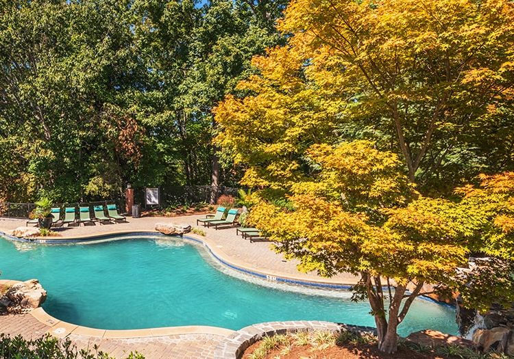 Pool 13 at Lake Lanier Club luxury apartment homes in Atlanta, GA