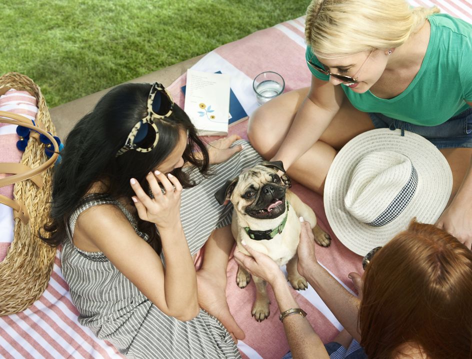 Three women sit outside with dog