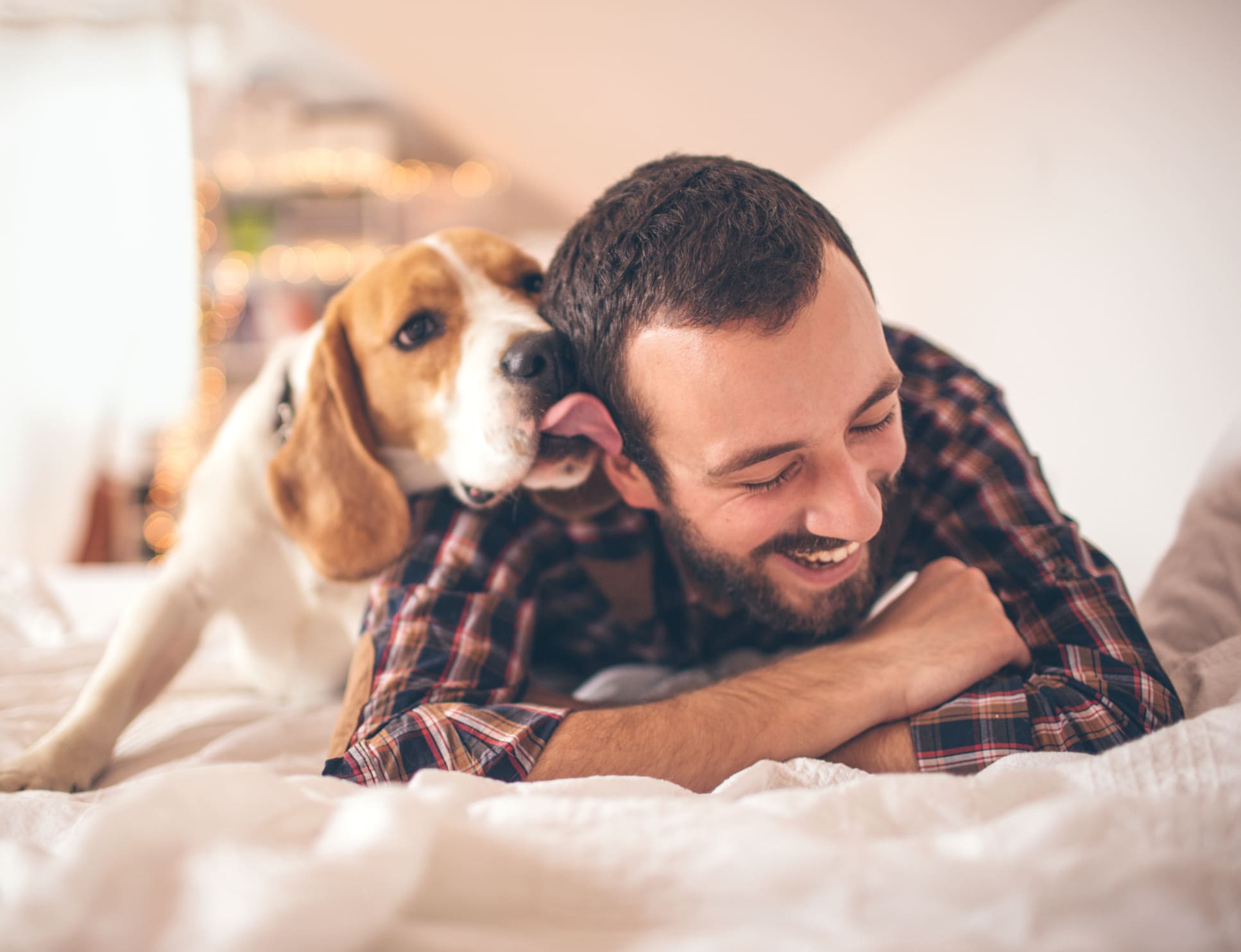 dog licking mans face