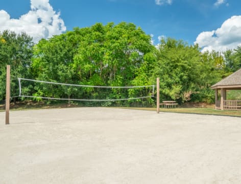 Volleyball at Monthaven Park luxury apartment homes in Nashville, TN