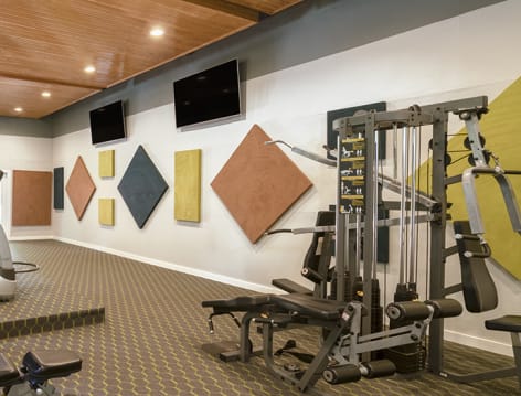 Fitness Center at Eagle Ridge luxury apartment homes in Birmingham, AL