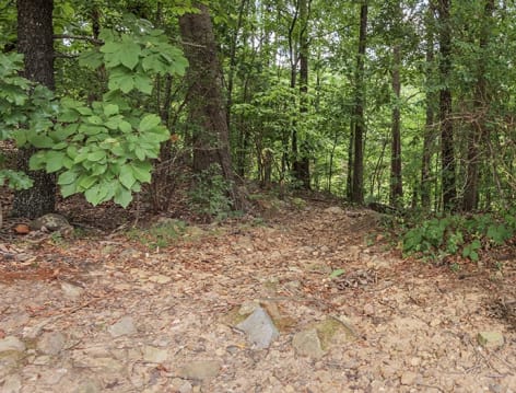 Nature Trail at Calais Forest luxury apartment homes in Little Rock, AR