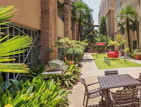 Grill Area and Dog Park at Post Gateway luxury apartment homes in Charlotte, NC
