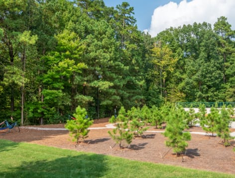 Hammock at Hermitage at Beechtree luxury apartment homes in Raleigh-Cary, NC