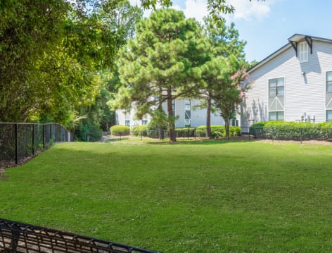 Pet Park at The Paddock Club Columbia luxury apartment homes in Columbia, SC