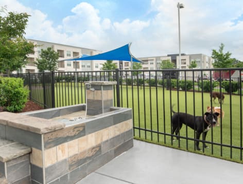 Dog Wash Station at Innovation luxury apartment homes in Greenville, SC