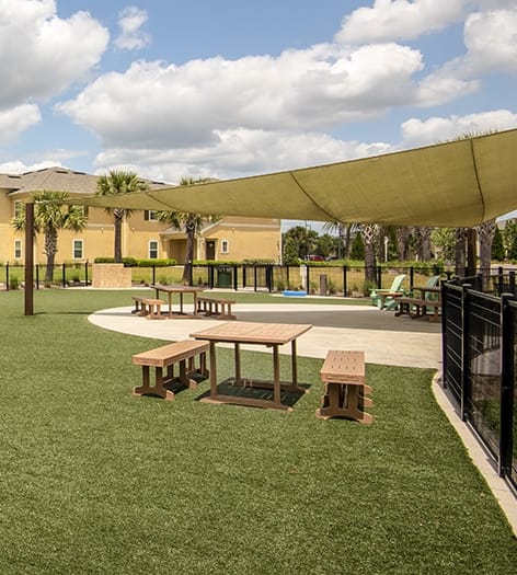 Dog Park at Colonial Grand Apartments at Hampton Preserve luxury apartment homes in Tampa, FL