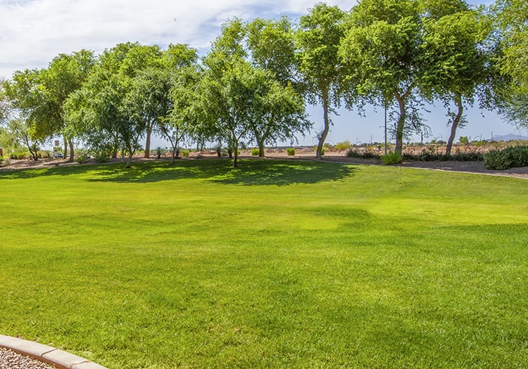 Park 1 at Colonial Grand at Inverness Commons luxury apartment homes in Phoenix, AZ
