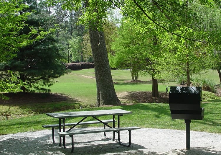 Picnic Area 1 at Spring Creek luxury apartment homes in Greenville, SC