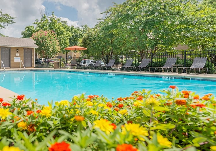 Pool 4 at Windridge luxury apartment homes in Chattanooga, TN