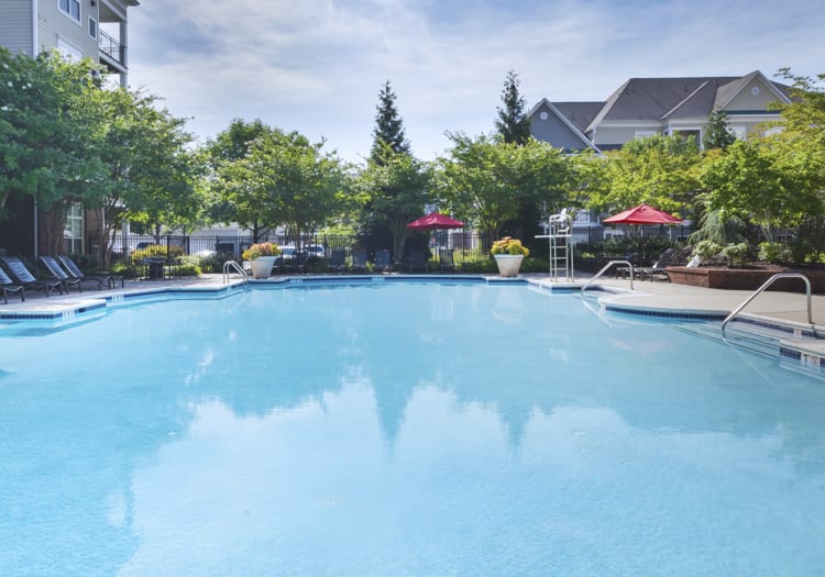 Pool at Post Fallsgrove luxury apartment homes in Rockville, MD