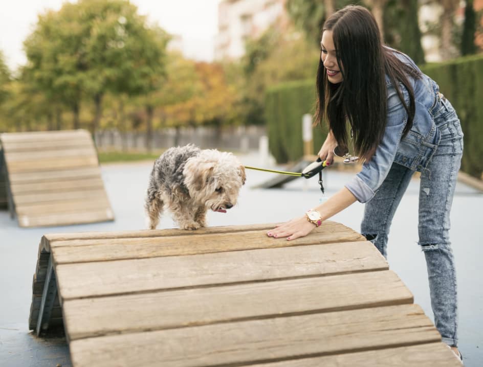 Dog and woman interacting