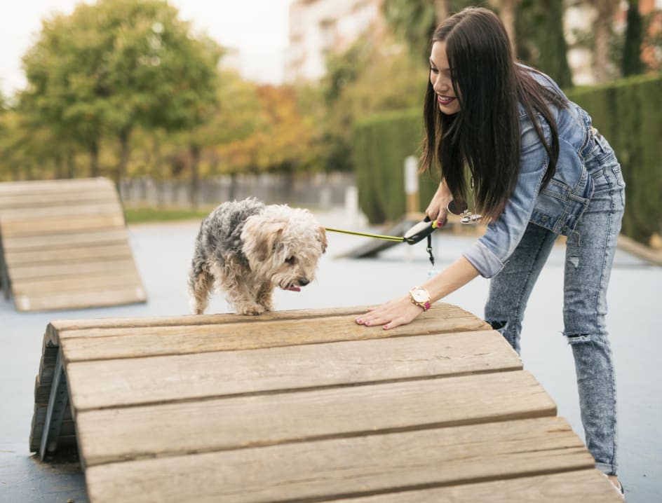 Dog and woman looking at each other