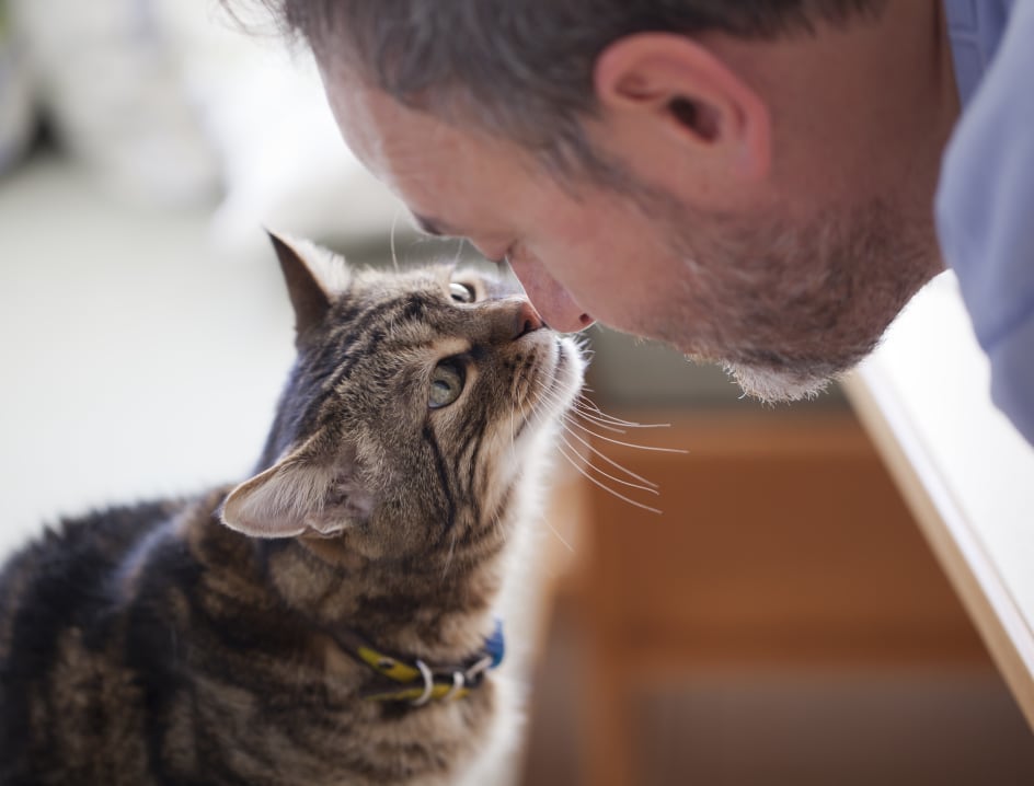 Man kissing cat